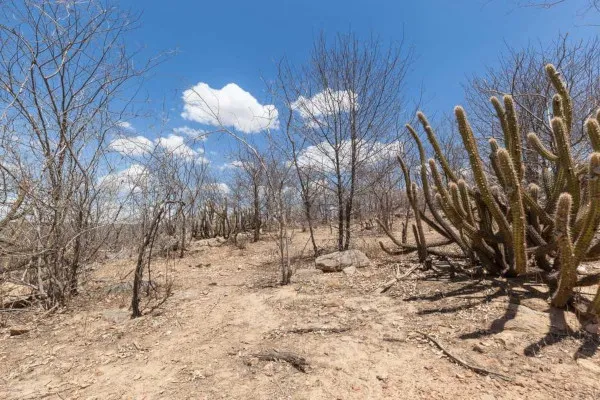 Idema Prop E Cria O De Nova Unidade De Conserva O Da Caatinga No Rio