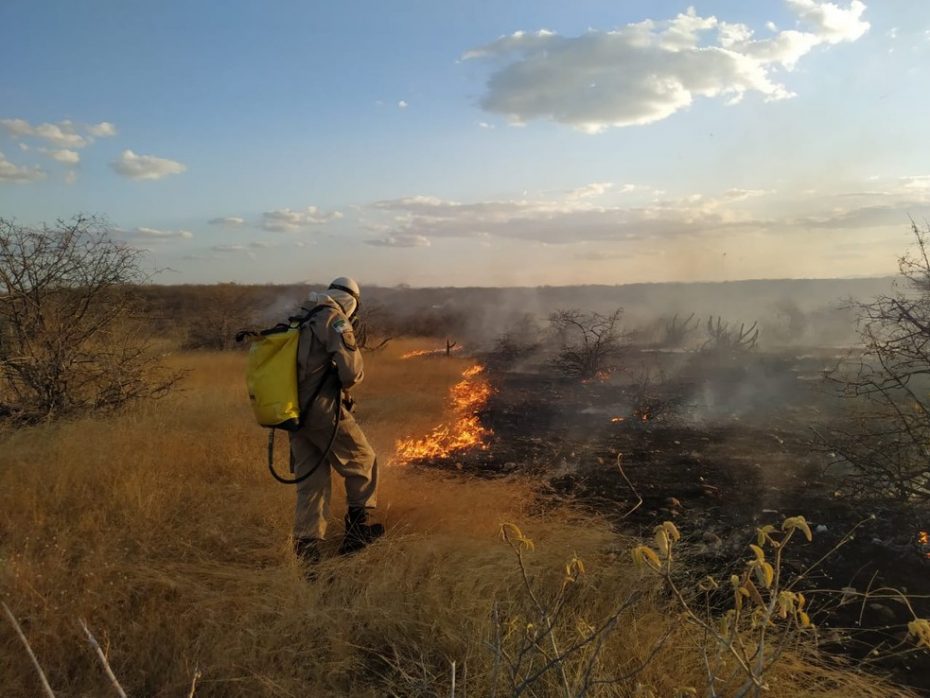 Incêndios florestais tem alta considerável no RN - Foto: Reprodução/g1