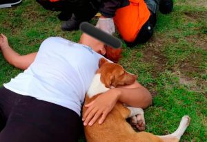 Mulher sofre acidente para desviar de cachorro e animal fica ao seu lado durante o resgate - Foto: Divulgação/Corpo de Bombeiros