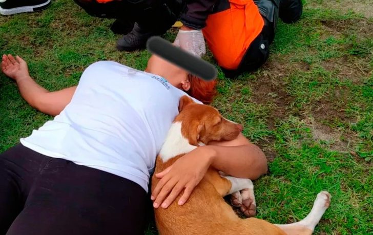 Mulher sofre acidente para desviar de cachorro e animal fica ao seu lado durante o resgate - Foto: Divulgação/Corpo de Bombeiros