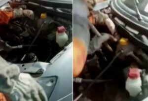 Mecânico encontra jiboia dentro de motor de carro em oficina de Fortaleza - Foto: Arquivo Pessoal