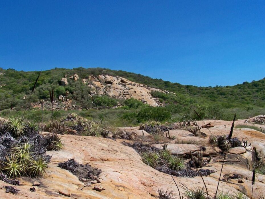 Unesco inclui área do Seridó potiguar em lista de geoparques mundiais - Foto: ICMBIO/divulgação