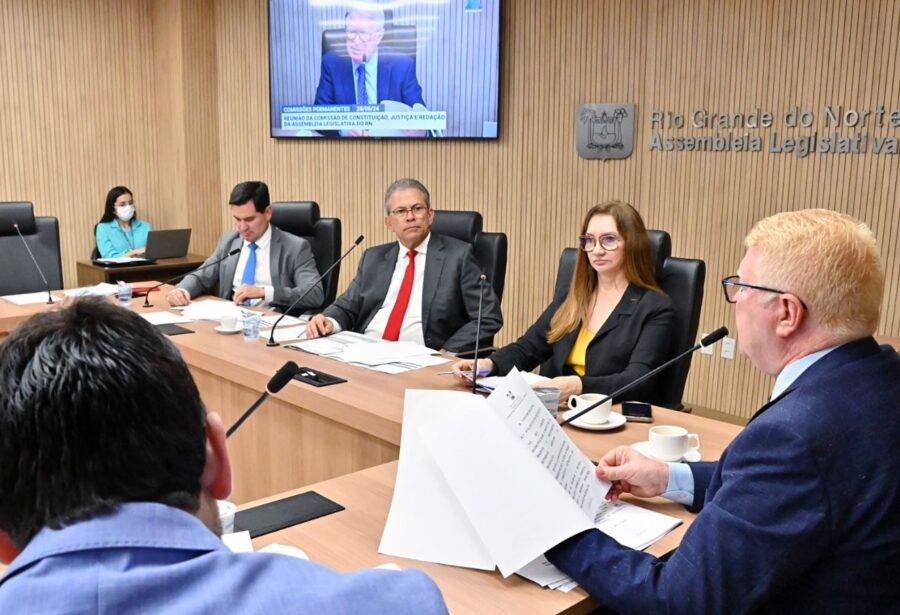 Projeto foi aprovado nesta terça-feira (28) em reunião da Comissão de Constituição, Justiça e Redação da Assembleia Legislativa - Foto: Eduardo Maia / ALRN