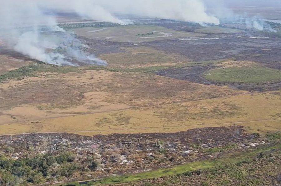 Segundo as investigações, neste ano, mais de 6,4 mil hectares foram queimados para a criação de gado na região de Corumbá, em Mato Grosso do Sul. Fonte: Agência Brasil