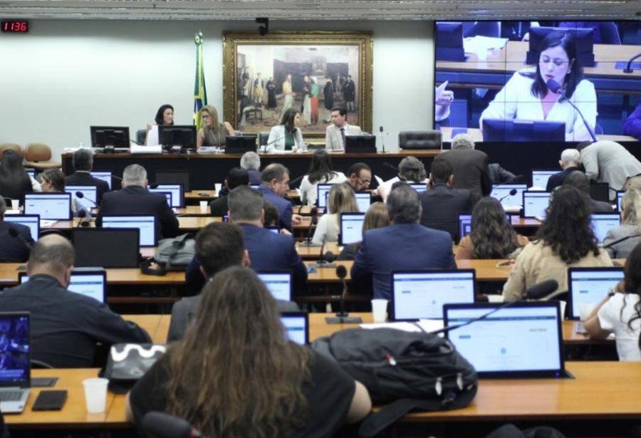 Comissão de Constituição, Justiça e de Cidadania (CCJ) da Câmara. Foto: Vinicius Loures/Câmara dos Deputados