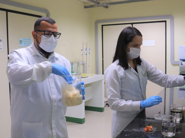 Cientistas manuseiam os protótipos que estão sendo desenvolvidos – Foto: Arthur de Souza