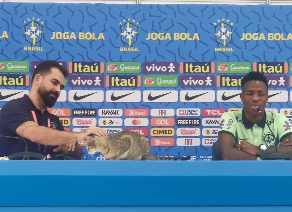 [VÍDEO] Gato Invade Entrevista De Vini Junior Na Seleção Brasileira E é ...