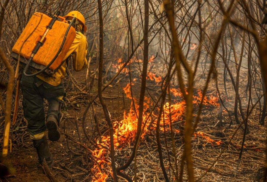 Brigadistas combatem incêndio na região do Pantanal - Foto: Marcelo Camargo / Agência Brasil