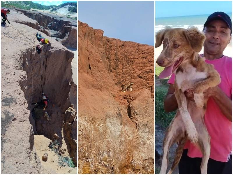 Resgate de cães em área de falésia nesta quinta-feira (25) na Praia de Cotovelo - 