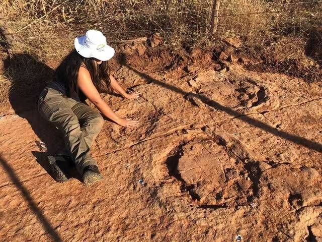 Pesquisadores da UFRN descobrem pegadas de dinossauro de 100 milhões de anos na Paraíba