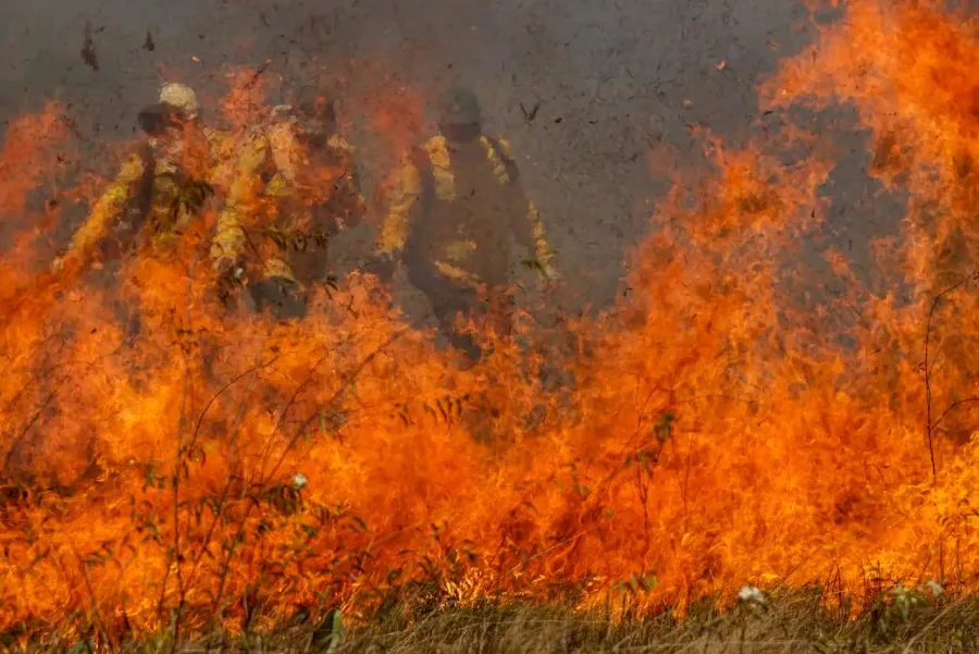 Segundo a Advocacia Geral da União (AGU), 85% dos focos estão na Amazônia e no Pantanal. Foto: Agência Brasil